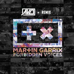 Martin Garrix - Forbidden Voices (Javo Remix)