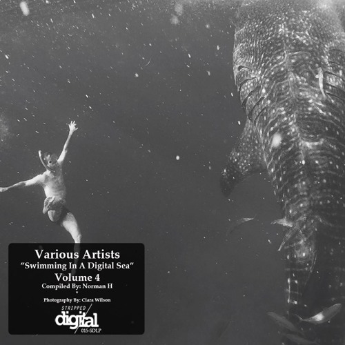 Diego Berrondo - A Call From The Moon (Original Mix) (Cut Preview)