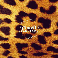 05 Faded Lady (Instrumental)