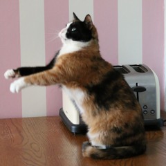 My Choice of Great Tracks