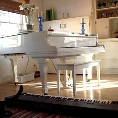 Shoulda without vocals