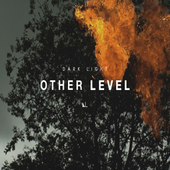 Other Level - FREE DOWNLOAD