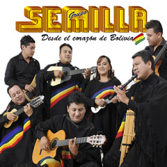 Saya Del Trópico