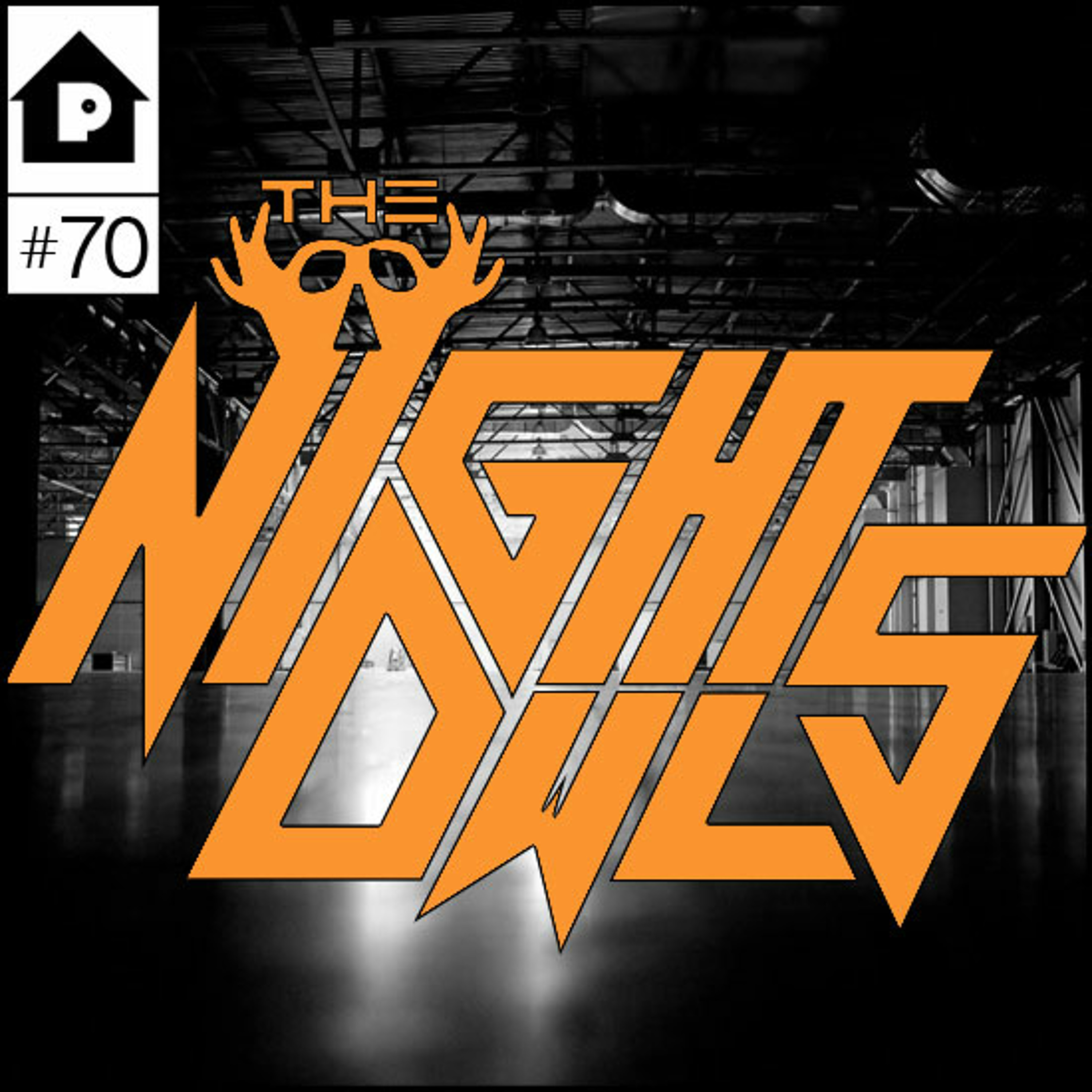 TheNightOwls