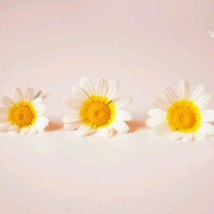 القبرصندوق العمل مؤثرجداجدا في الشيخ خميس الزهراني