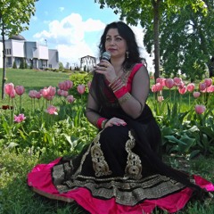 Sar Par Topi Laal by Naliny-remix