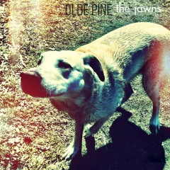 Olde Pine - Buy A Pound, Smoke A Pound