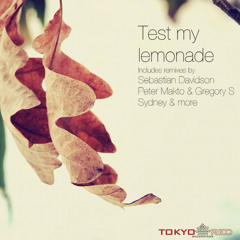 Embat Prodz & Miki Leris - Test My Lemonade (Peter Makto & Gregory S Remix)