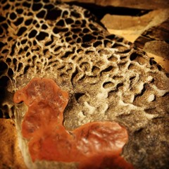 Lying Down Yoga Sequence - 35 Min