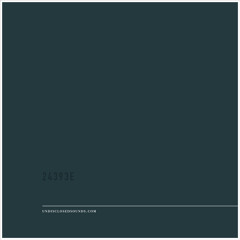 UNDISCLOSED - 24393E - II