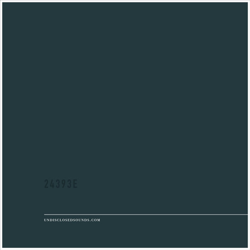 UNDISCLOSED - 24393E - II