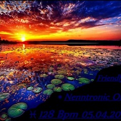 Friendly Piet - Nenntronic One 05.04.2012