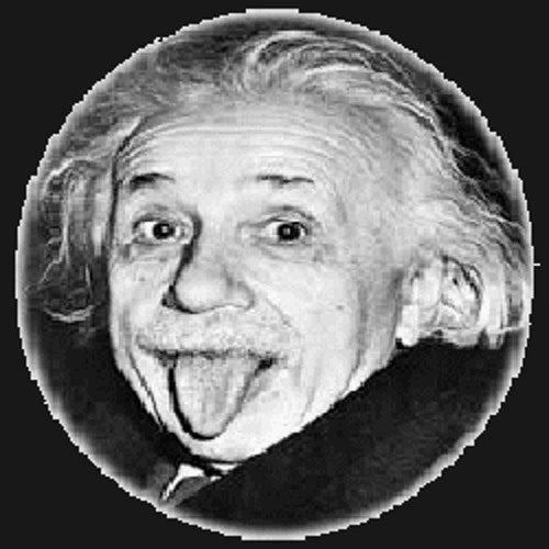 Fox Man - Einstein
