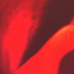 The Light (Demo Bite Preview)