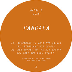 Pangaea - New Shapes in the Air [Preview]