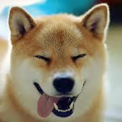 Jet Lag 愛情時差