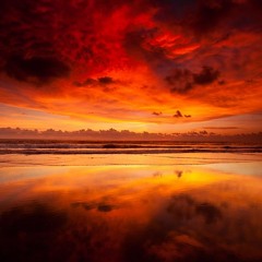 Vital - Beach Disco Volume 6