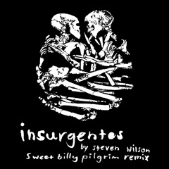Steven Wilson - Insurgentes (Sweet Billy Pilgrim remix)