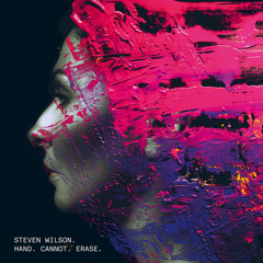 Steven Wilson