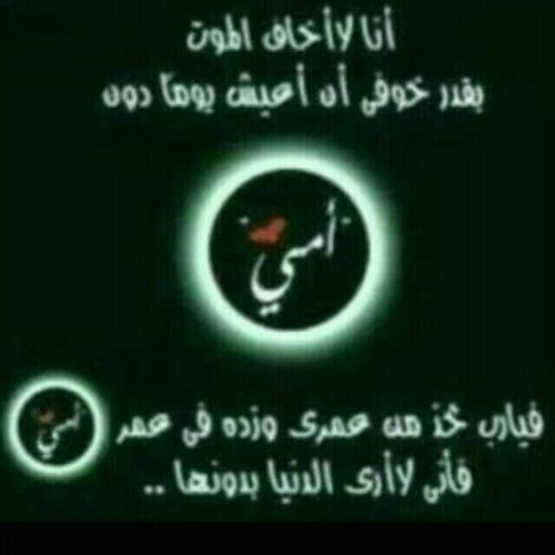 حمود خضر - لغات العالم