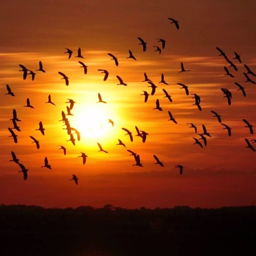 01 - Intérprete Desconocido   AudioTrack 01