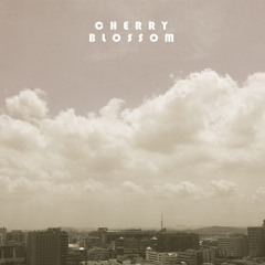 Cherry Blossom