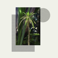 Stefan Jós - Primitives
