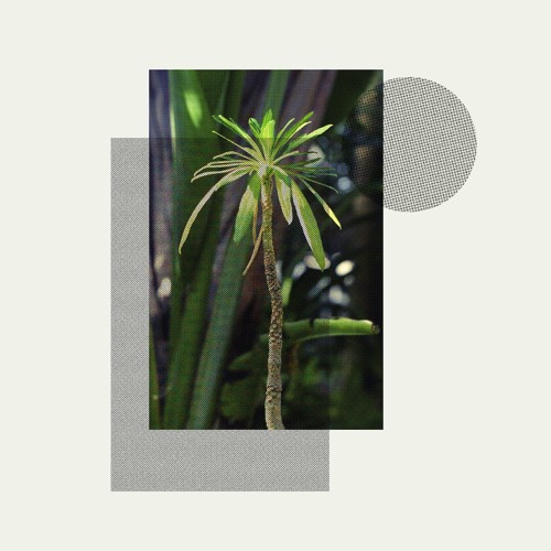 Stefan Jós - Primitives