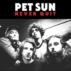 Pet Sun - Never Quit