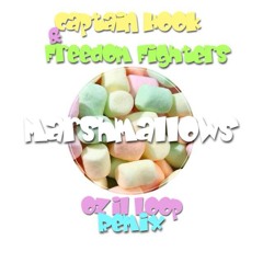 Captain Hook & Freedom Fighters_Marshmallows(Ozil Loop Remix)