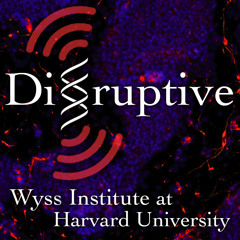 Disruptive: Synthetic Biology | Wyss Institute