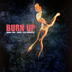 Burn Up feat. Charli Funk, SuCoo & Alec Burnright