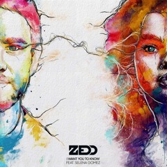 I Want You To Know (Fuzzyman Bootleg)*Download in Description*