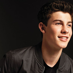 Shawn Mendes - Moving Too Fast - Cover
