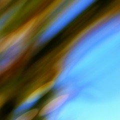 Farah Dans Le Vent De Sable