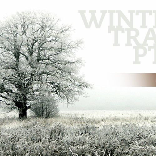 Winter Trail Pt. 1