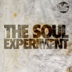 ZASDA 213 - The Soul Experiment - Volume 1