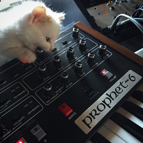 DSI Sequential - Prophet 6 - Program Test -f1