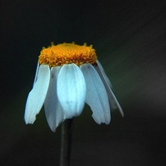 VENCIENDO EL DESANIMO