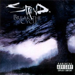 Staind - It's Been Awhile Cover