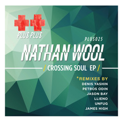 07. Nathan Wool - Don't Know If I Said (Llieno Remix) (SC Preview)