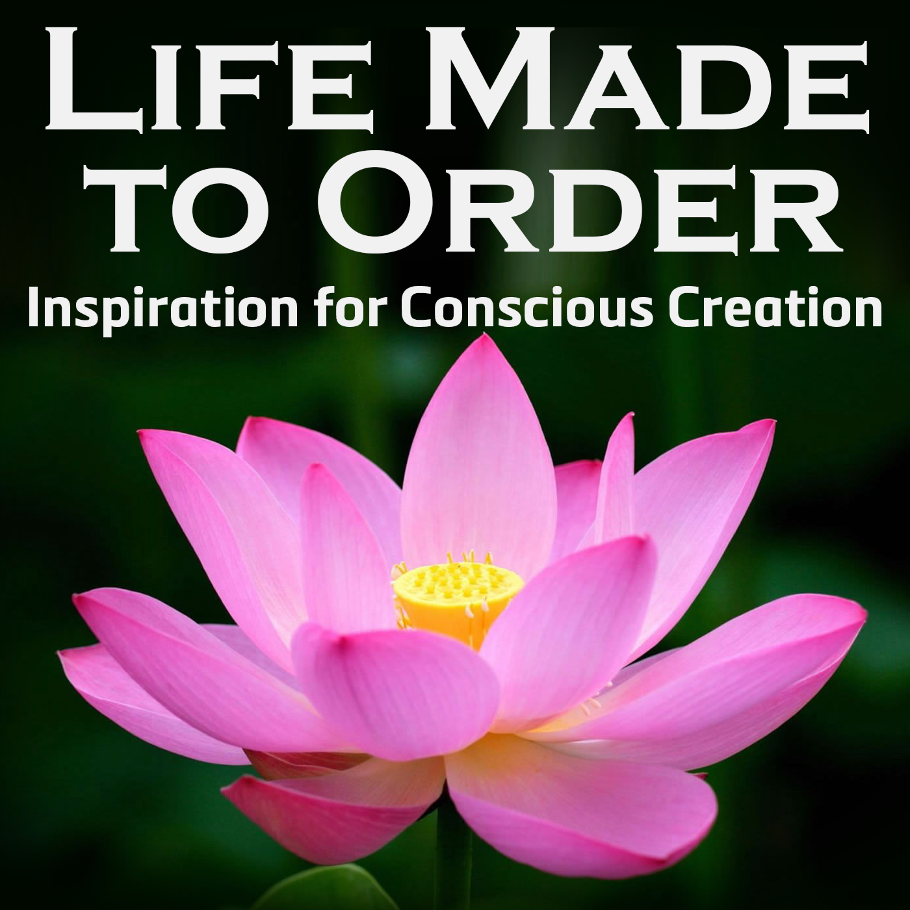 Life Made To Order Podcast  Episode #1: 4 Misconceptions About Law Of Attraction episode artwork