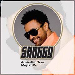 Shaggy 2015 Tour Mix