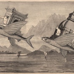 Peces Voladores