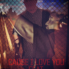 The Establishment - Cause I Love You (remix)