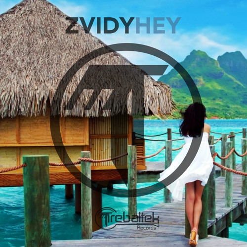 Zvidy - Hey (SamplerDownload)Out On Beatport