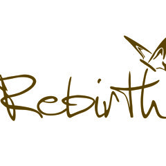 Mr Stevee Scratch - Rebirth(Original Mix)