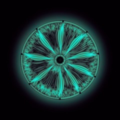Acoustic Hives - CosmicKat
