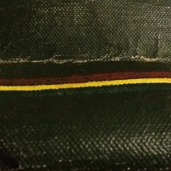 PROTES YLES IN DUB (LIVE DUB MIXING-TEST 1)