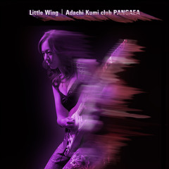 Little Wing / Kumi adacni club pangaea